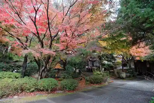 覚園寺の景色