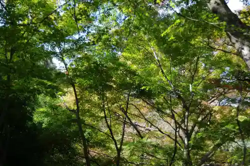 両足寺(山口県)