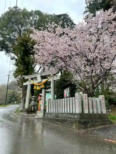 糀谷八幡宮(埼玉県)