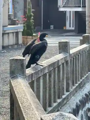 川原神社(愛知県)