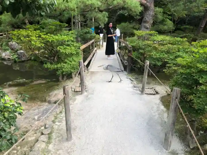 慈照寺(慈照禅寺・銀閣寺)のその他建物