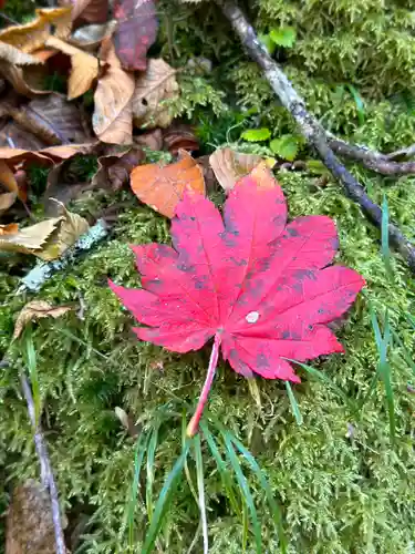 日蓮宗 総本山 塔頭 定林坊(じょうりんぼう)(山梨県)
