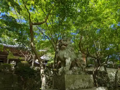 勝持寺（花の寺）(京都府)