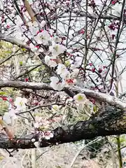 梨木神社の自然