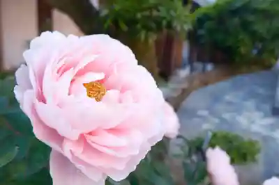御霊神社(奈良県)