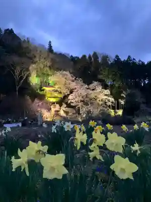 堂の下の岩観音(栃木県)