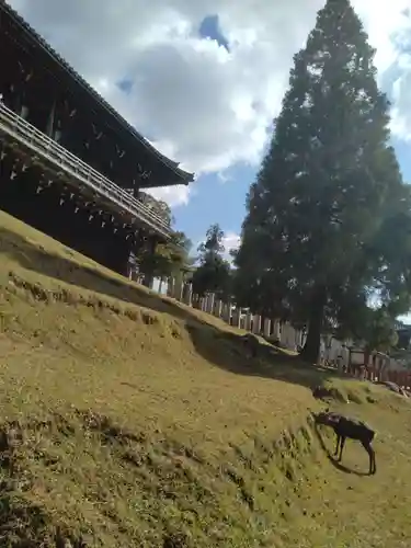 東大寺 二月堂(奈良県)