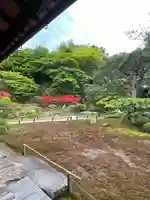 青蓮院門跡(京都府)