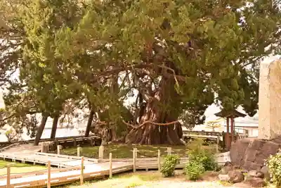 寶生院(香川県)