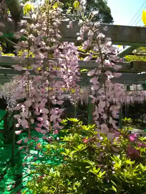 阿智神社(岡山県)