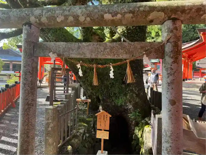 熊野那智大社(和歌山県)