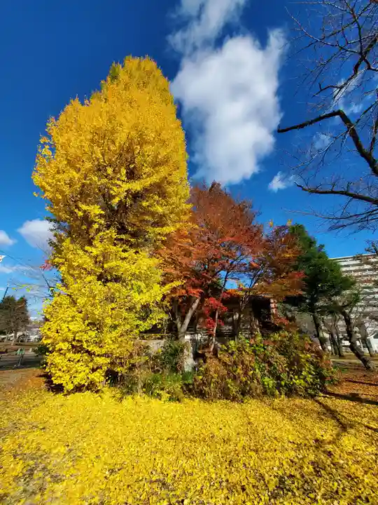 櫻岡大神宮の自然