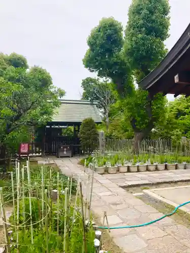 難波大社　生國魂神社(大阪府)