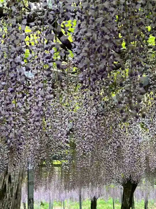和気神社の庭園