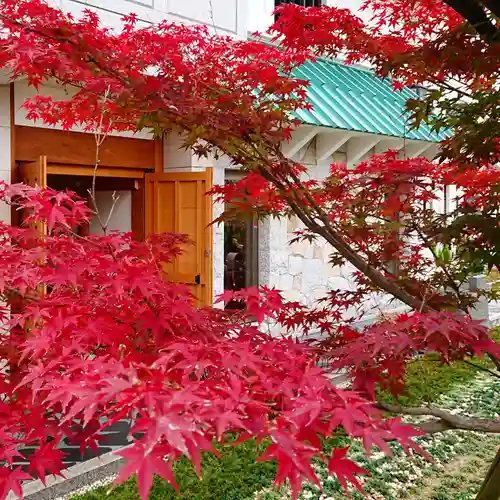 寿量山　速成寺の自然