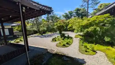 廬山寺（廬山天台講寺）(京都府)