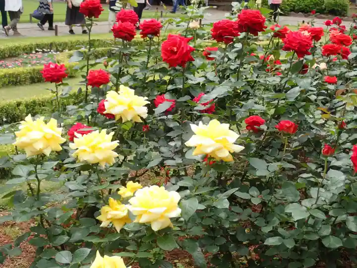 大國神社(東京都)