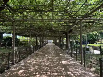 曼陀羅寺の周辺