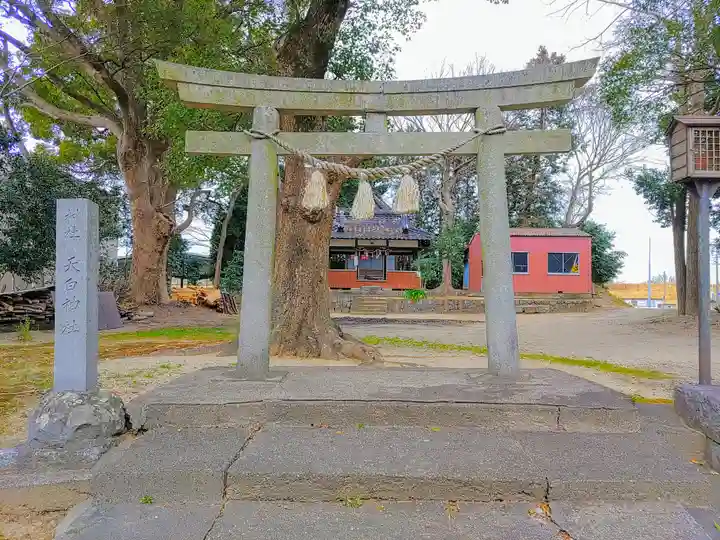 天白神社の鳥居