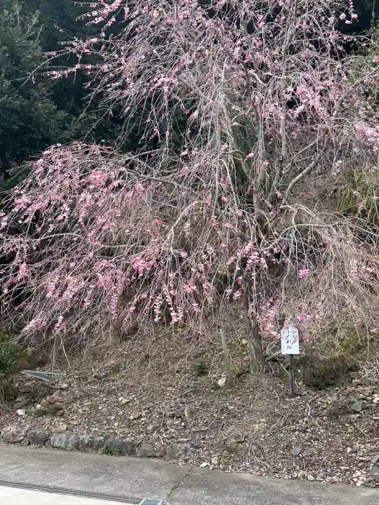 妙祐寺(福井県)