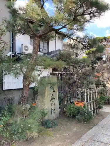 十二所神社の自然