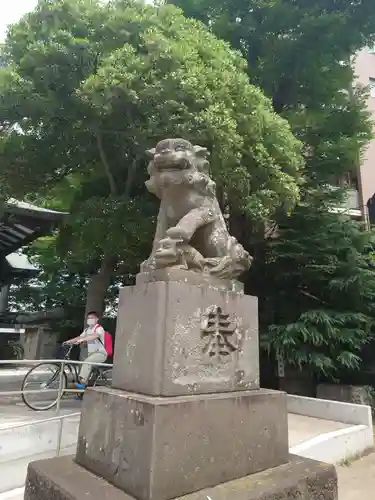 亀有香取神社の狛犬