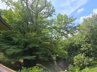 正法寺(滋賀県)