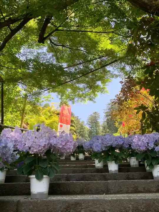 岡寺(龍蓋寺)(奈良県)
