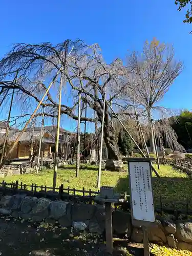 清瀧院(千葉県)