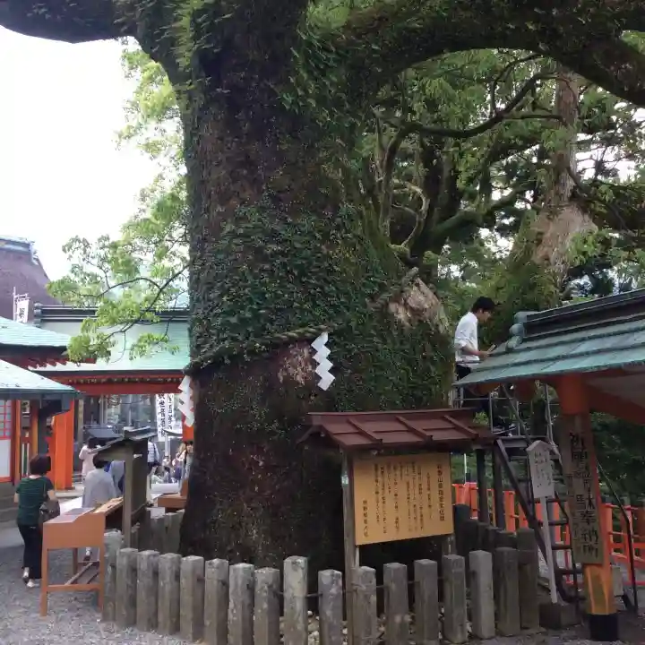 熊野那智大社の{uncategorized: "未分類", other: "その他", undefined: "問題あり", building: "その他建物", grave: "お墓", sacred_gate: "鳥居", guardian: "狛犬", statue: "像", buddha: "仏像", history: "歴史", nature: "自然", garden: "庭園", animal: "動物", pagoda: "塔", temizu: "手水舎", mountain_gate: "山門・神門", sanctuary: "本殿・本堂", subordinate: "末社・摂社", art: "芸術", scenery: "景色", jizo: "地蔵", ema: "絵馬", goshuin: "御朱印", omikuji: "おみくじ", items: "授与品その他", amulet: "お守り", goshuincho: "御朱印帳", eats: "食事", festival: "お祭り", votive_dance: "神楽", shichigosan: "七五三参", wedding: "結婚式", experience: "体験その他", initially: "初詣", around: "周辺", anti_infection: "感染症対策"}