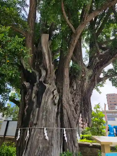 磐井神社の{uncategorized: "未分類", other: "その他", undefined: "問題あり", building: "その他建物", grave: "お墓", sacred_gate: "鳥居", guardian: "狛犬", statue: "像", buddha: "仏像", history: "歴史", nature: "自然", garden: "庭園", animal: "動物", pagoda: "塔", temizu: "手水舎", mountain_gate: "山門・神門", sanctuary: "本殿・本堂", subordinate: "末社・摂社", art: "芸術", scenery: "景色", jizo: "地蔵", ema: "絵馬", goshuin: "御朱印", omikuji: "おみくじ", items: "授与品その他", amulet: "お守り", goshuincho: "御朱印帳", eats: "食事", festival: "お祭り", votive_dance: "神楽", shichigosan: "七五三参", wedding: "結婚式", experience: "体験その他", initially: "初詣", around: "周辺", anti_infection: "感染症対策"}
