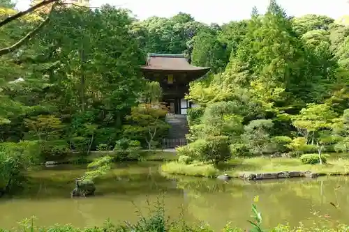 円成寺の庭園