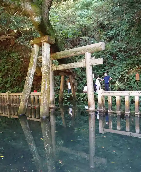 鹿島神宮(茨城県)