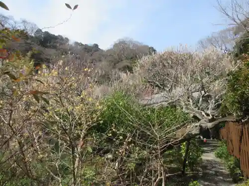 光則寺の庭園