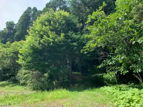 浅間神社の自然