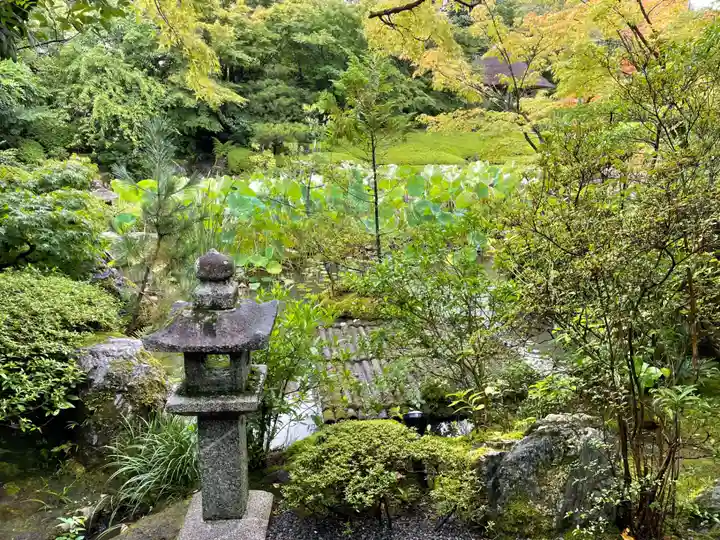 退蔵院(京都府)