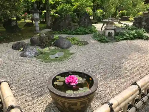 長泉院の庭園