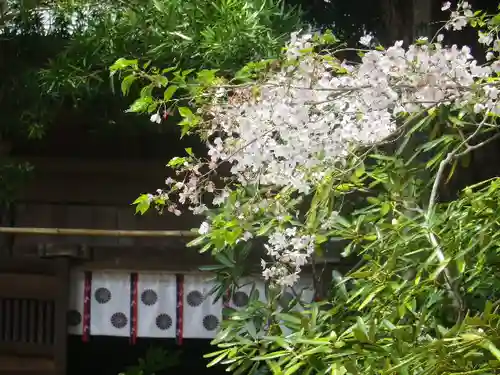 浄光明寺の自然