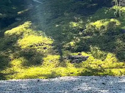 円通院(宮城県)