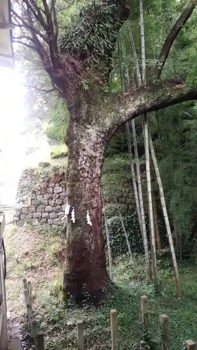 久能山東照宮(静岡県)