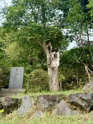 能ケ谷神社(東京都)