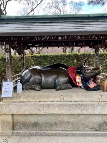 北野天満宮の狛犬