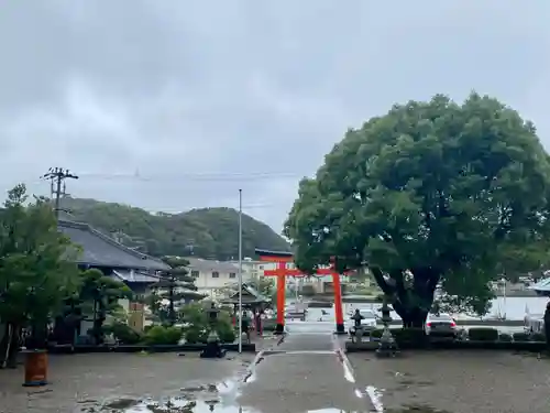 勝浦八幡神社(和歌山県)