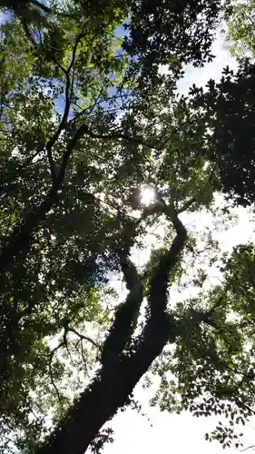 自凝島神社の自然