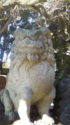 柏諏訪神社の狛犬