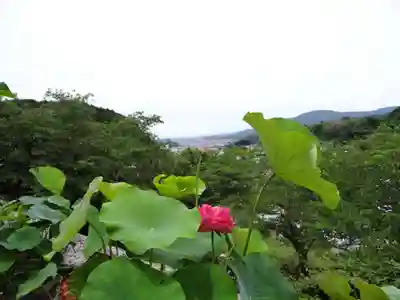 聖林寺(奈良県)