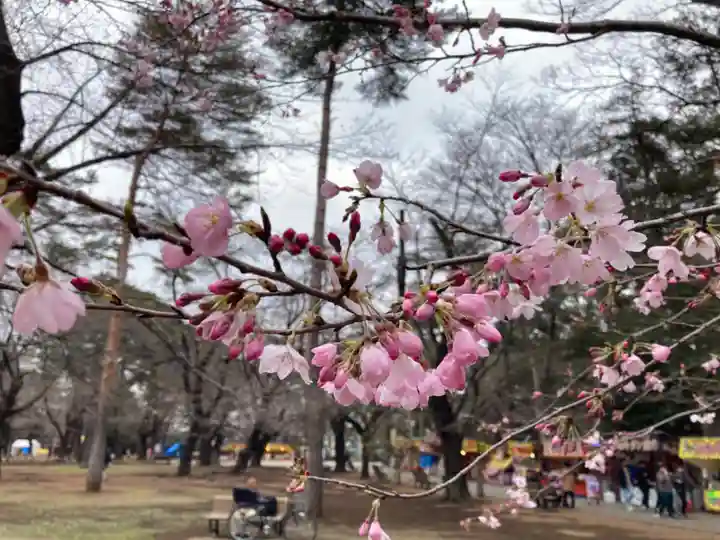 武蔵一宮氷川神社(埼玉県)