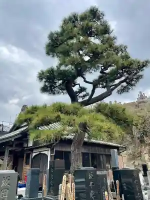 本成寺の{uncategorized: "未分類", other: "その他", undefined: "問題あり", building: "その他建物", grave: "お墓", sacred_gate: "鳥居", guardian: "狛犬", statue: "像", buddha: "仏像", history: "歴史", nature: "自然", garden: "庭園", animal: "動物", pagoda: "塔", temizu: "手水舎", mountain_gate: "山門・神門", sanctuary: "本殿・本堂", subordinate: "末社・摂社", art: "芸術", scenery: "景色", jizo: "地蔵", ema: "絵馬", goshuin: "御朱印", omikuji: "おみくじ", items: "授与品その他", amulet: "お守り", goshuincho: "御朱印帳", eats: "食事", festival: "お祭り", votive_dance: "神楽", shichigosan: "七五三参", wedding: "結婚式", experience: "体験その他", initially: "初詣", around: "周辺", anti_infection: "感染症対策"}