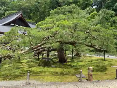 慈雲寺(長野県)