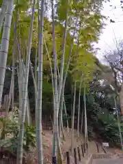 森浅間神社(神奈川県)